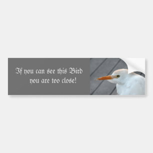 Pegatina Para Coche Si puedes ver este pájaro estás demasiado cerca