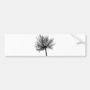 Pegatina Para Coche Silhouette de árbol