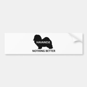 Pegatina Para Coche Silo conocido de Havanese nada mejor