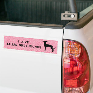 Pegatina Para Coche Silueta De Gris Italiano Sobre El Patrón Del Coraz