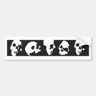 Pegatina Para Coche skull