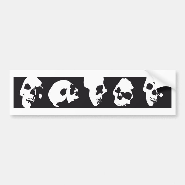 Pegatina Para Coche skull (Frente)