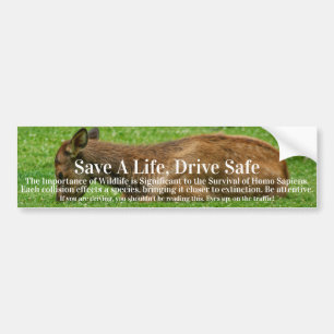 Pegatina Para Coche Sleep Little One