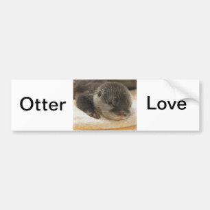 Pegatina Para Coche Sleepy Otter