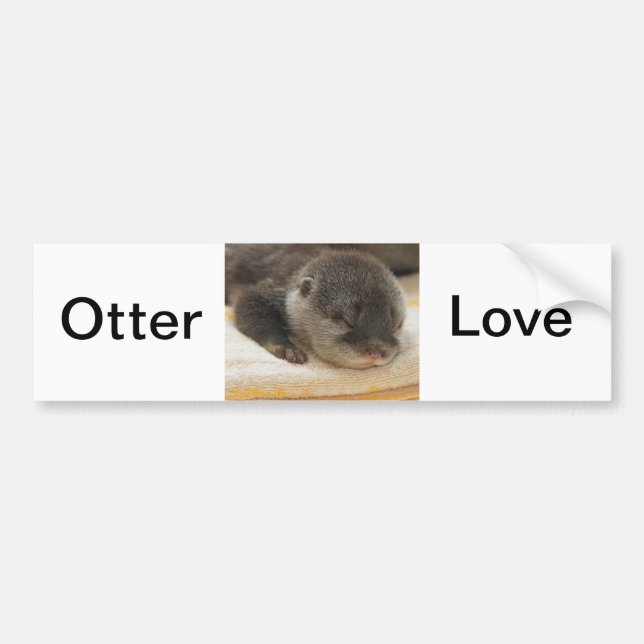 Pegatina Para Coche Sleepy Otter (Frente)