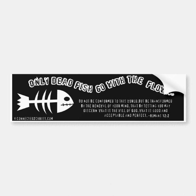 Pegatina Para Coche Solamente pescados muertos Bumpersticker (Frente)