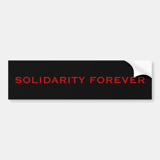 PEGATINA PARA COCHE SOLIDARIDAD PARA SIEMPRE (Frente)
