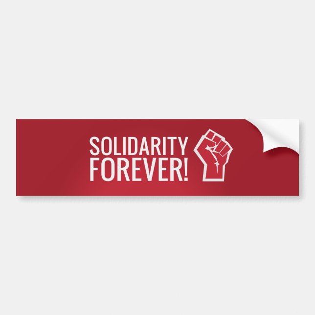 Pegatina Para Coche ¡Solidaridad para siempre! (Frente)