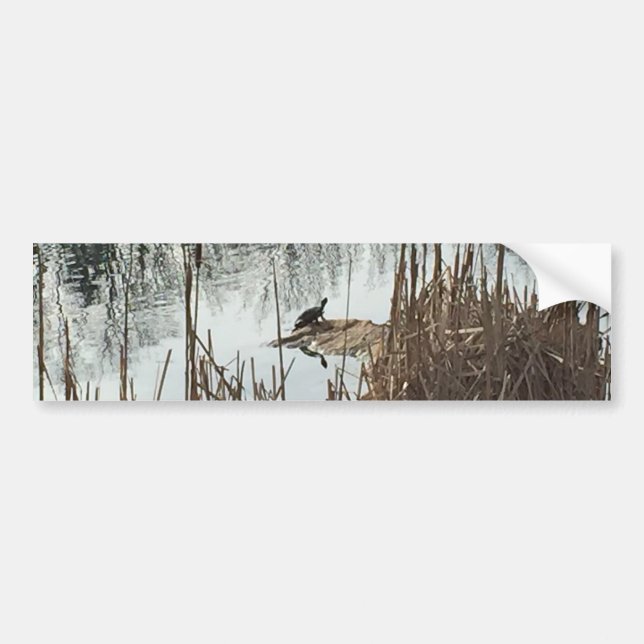 Pegatina Para Coche Solsticio de invierno (Frente)