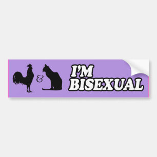 Pegatina Para Coche SOY BISEXUAL -.png