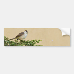 Pegatina Para Coche Sparrow