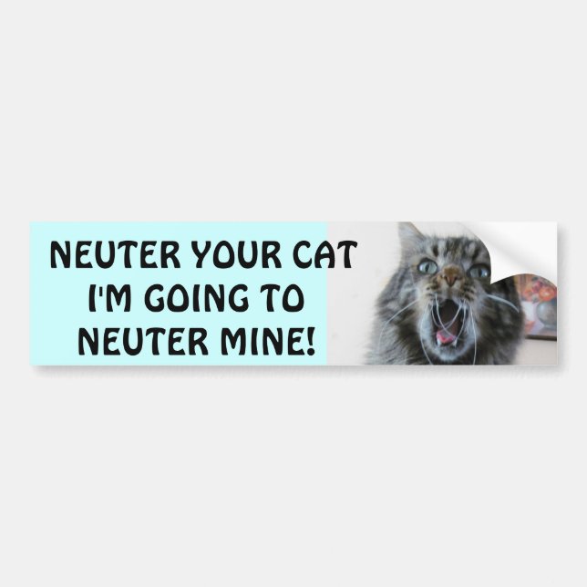Pegatina Para Coche Spay y neutralice su gato. Gatito chocado (Frente)