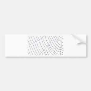 Pegatina Para Coche Spider Web