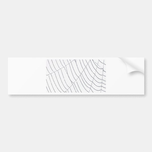 Pegatina Para Coche Spider Web (Frente)