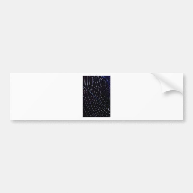 Pegatina Para Coche Spider Web (Frente)