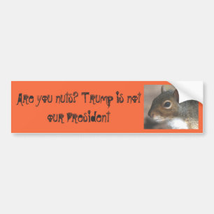 Pegatina Para Coche ¡Squirrelly es usted Nuts! El triunfo no es