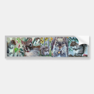 Pegatina Para Coche Squirrels Galore Bumper Sticker