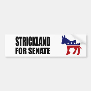 PEGATINA PARA COCHE STRICKLAND 2010