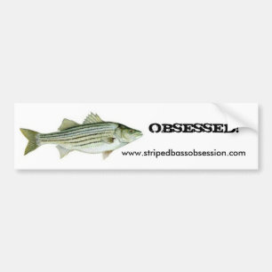 Pegatina Para Coche ¡stripe10, www.stripedbassobsession.com,