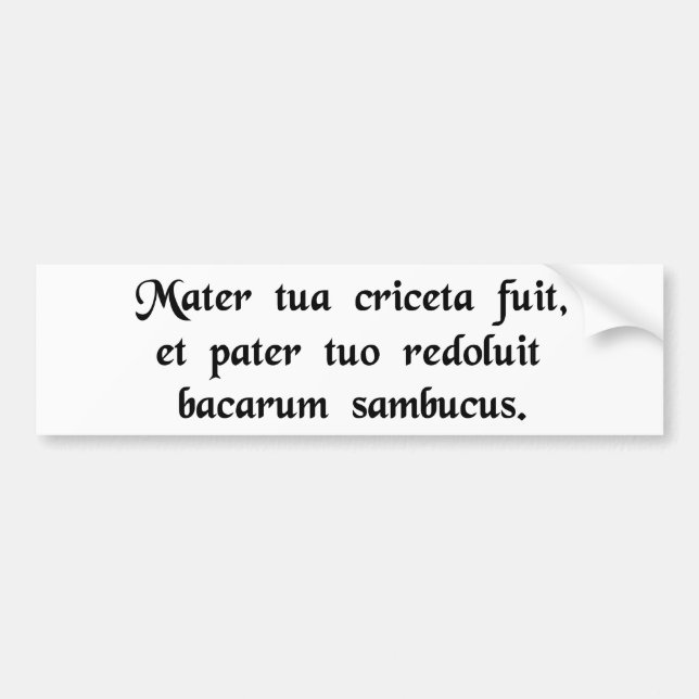 Pegatina Para Coche Su madre era un hámster y su padre ...... (Frente)