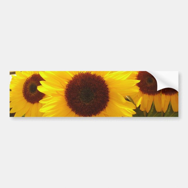 Pegatina Para Coche Sunflower (Frente)