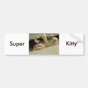 Pegatina Para Coche Super Hero Kitty Cat