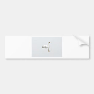 Pegatina Para Coche Swan
