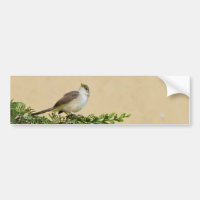 Tarjeta postal de Sparrow