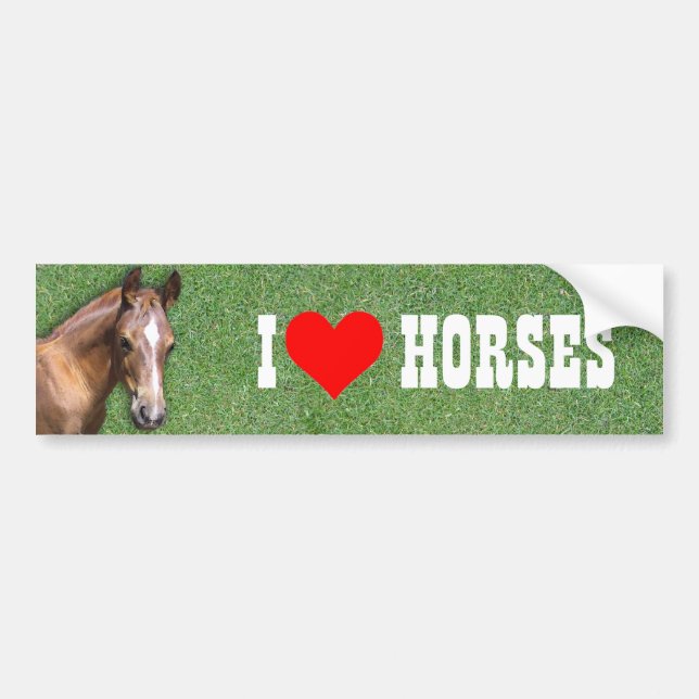 Pegatina Para Coche Tengo gusto de caballos (Frente)