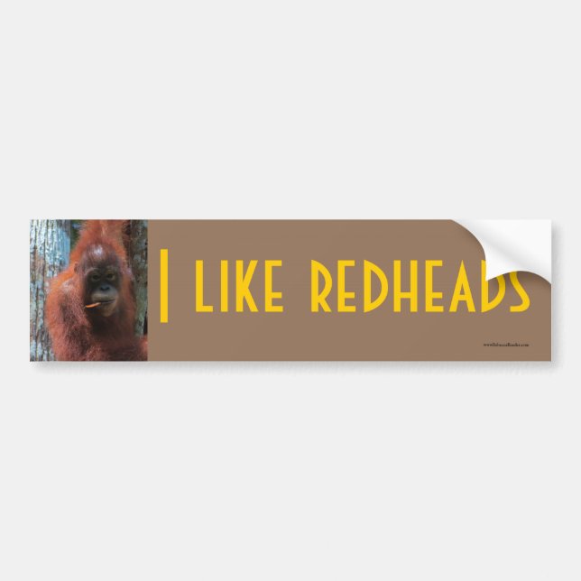 Pegatina Para Coche Tengo gusto de los Redheads - fauna (Frente)
