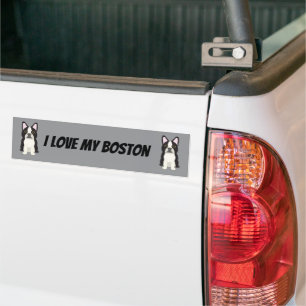 Pegatina Para Coche Terrier de Boston