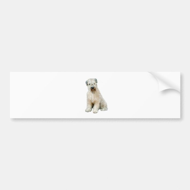 Pegatina Para Coche Terrier Wheaten (C) (Frente)