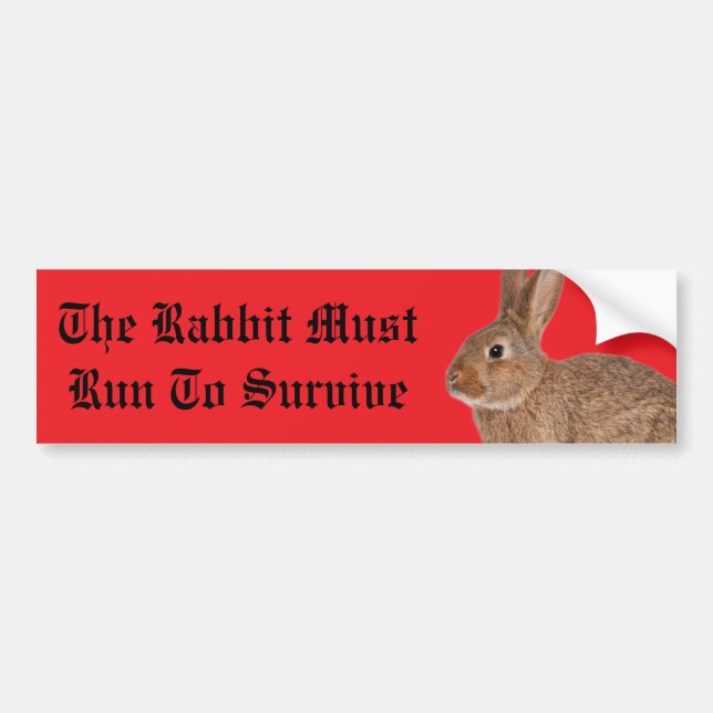 Pegatina Para Coche The rabbit must run to survive bumper sticker (Frente)