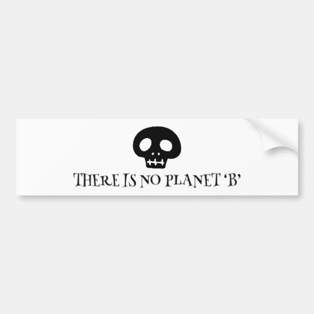 Pegatina Para Coche There is no planet 'B' (Frente)