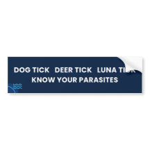Tick de perro. Deer Tick. Luna Tick