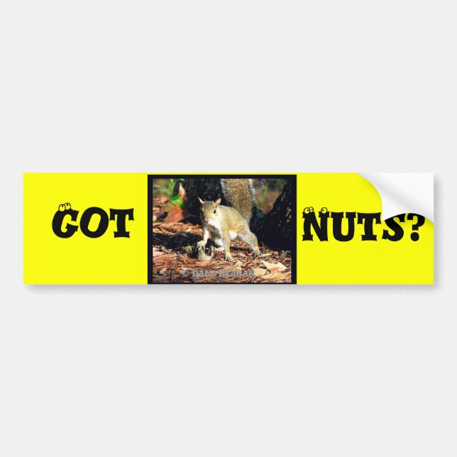 Pegatina Para Coche ¿Tienes nueces? (Frente)