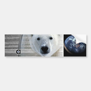 Pegatina Para Coche tierra de los osos polares