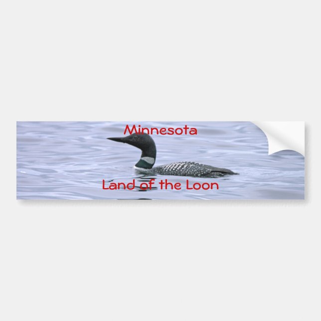 Pegatina Para Coche Tierra de Minnesota del bribón (Frente)