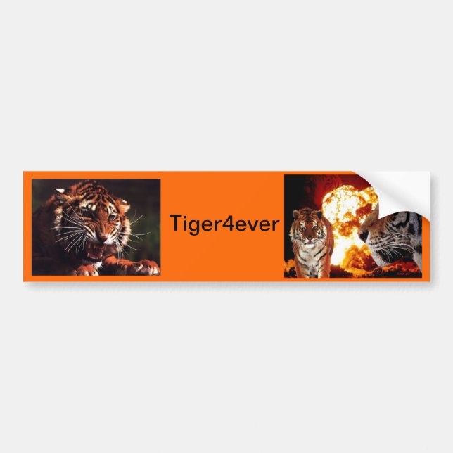 Pegatina Para Coche Tiger4ever (Frente)