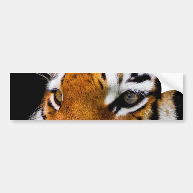 Pegatina Para Coche Tigre (Frente)