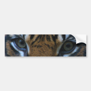 Pegatina Para Coche Tigre de eyes