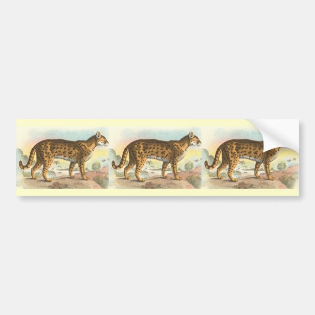 Pegatina Para Coche Tigre-Gato (Frente)