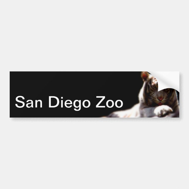 Pegatina Para Coche Tigre zoológico de San Diego (Frente)