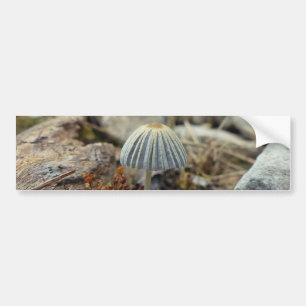 Pegatina Para Coche Tiny Toadstool
