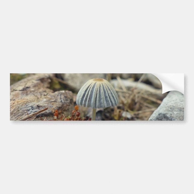 Pegatina Para Coche Tiny Toadstool (Frente)