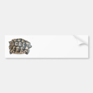 Pegatina Para Coche Tortoise