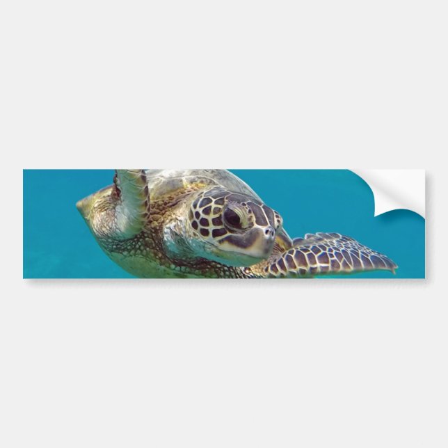 Pegatina Para Coche Tortuga de mar verde de Hawaii - Honu (Frente)