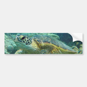 Pegatina Para Coche Tortugas de Hawái