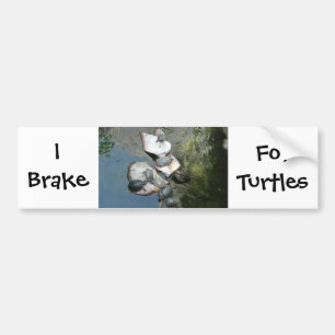 Pegatina Para Coche Tortugas/tortugas