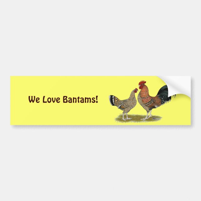 Pegatina Para Coche Tournaisis Bantams (Frente)